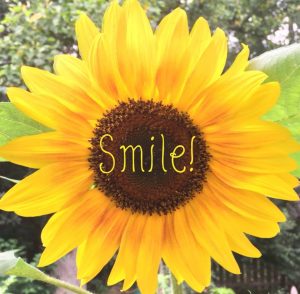 sunflowersmile